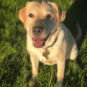 Meet your Posher, Savanah